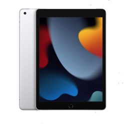 iPad Wi-Fi + Cellular 256GB Silver (2021)