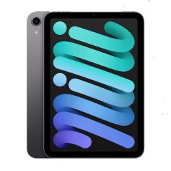 iPad mini Wi-Fi 256GB Space Gray (2021)