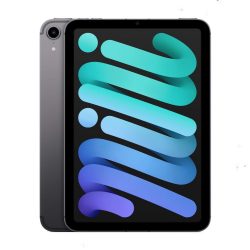 iPad mini Wi-Fi + Cellular 256GB Space Gray (2021)